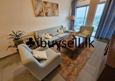 484935823_1345139076529528_507080654955784040_n