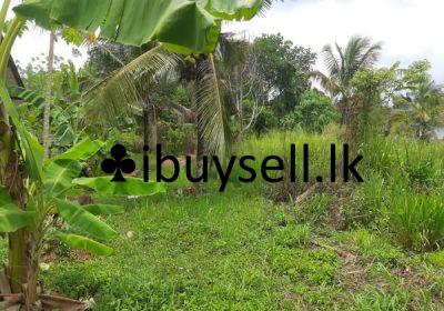 484989568_9877481659026130_1630713299623712541_n