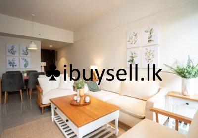 485062169_1345144713195631_8659111255604652244_n