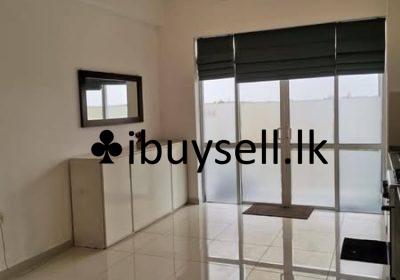 485076706_2939313249567020_6079774419377501179_n