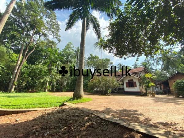 Over 10 Acres of Land for Sale in Paththalagedara, Nittambuwa