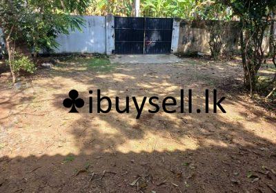 485173113_9165192500267024_4085121395665191347_n