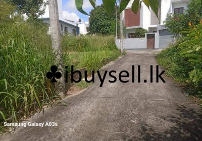 485366703_3565258117109288_2687796460612817121_n