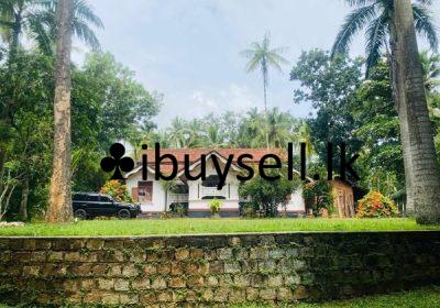 485384484_2119768578464347_4669590492234779387_n