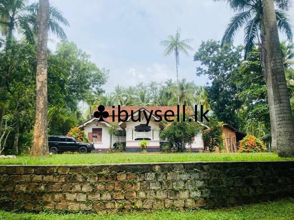 Over 10 Acres of Land for Sale in Paththalagedara, Nittambuwa