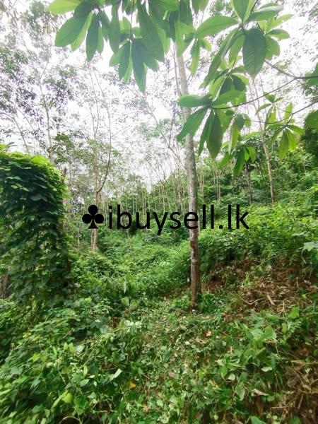 Land for sale in Avissawella