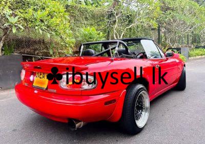 485627494_2205801853270038_7374684474095727584_n