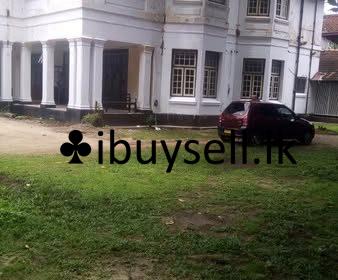 485654662_972955118292543_6440873087314144264_n