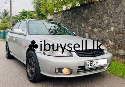 485658166_4101475110080430_6791940775051190691_n