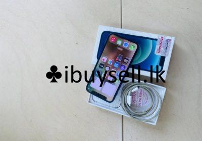 485693710_1037926104814603_8900228071473026656_n