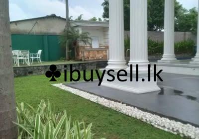 485727438_9525260200885185_7432879141432713426_n