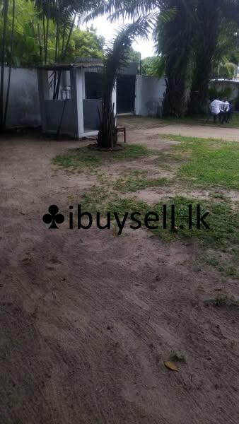 Land with old bungalow for sale in Colombo 07
