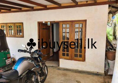 485792042_949814843980717_6180280796987670037_n