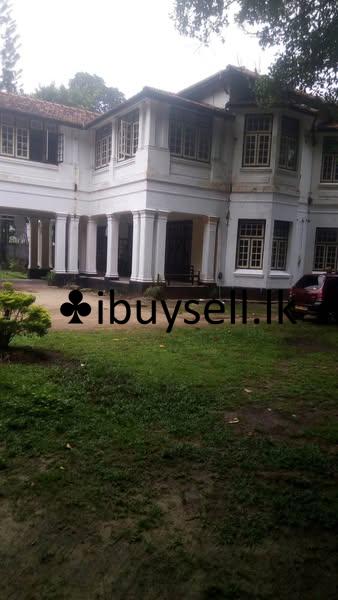 Land with old bungalow for sale in Colombo 07