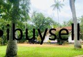 Over 10 Acres of Land for Sale in Paththalagedara, Nittambuwa