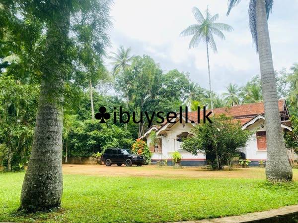 Over 10 Acres of Land for Sale in Paththalagedara, Nittambuwa