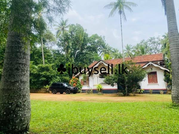 Over 10 Acres of Land for Sale in Paththalagedara, Nittambuwa