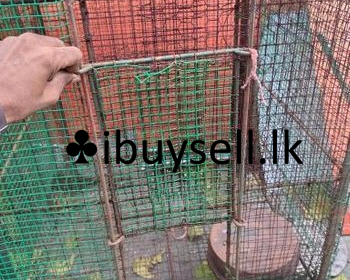 DeWatermark.ai_1741621893478