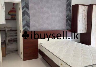 489080216_2958762334288778_6841543514419931942_n